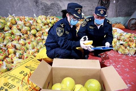 Export of golden pomelo | Meizhou exported golden pomelo for the first time to explore the 